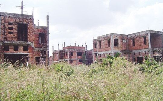 Nghiên cứu ý kiến của GS Đặng Hùng Võ về xử lý dự án 'treo'