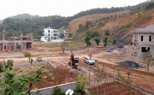 Công khai kết quả kiểm tra các dự án liên quan đến đất rừng tại Hòa Bình