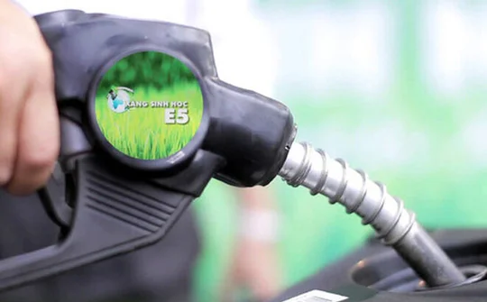 TP. HCM: Xăng E5 tiêu thụ tăng 3,6 lần so với ngày đầu triển khai