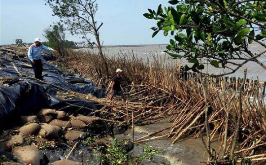 Tình hình sạt lở diễn biến nghiêm trọng ở ĐBSCL