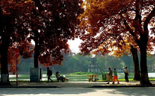 Dự báo thời tiết ngày 14/10: Miền Bắc trời mát, Nam Bộ có mưa dông