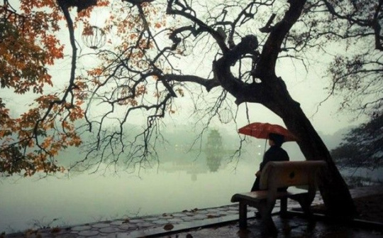 Dự báo thời tiết 16/10: Gió mùa Đông Bắc tràn về, Bắc Bộ chuyển lạnh kèm mưa rào rải rác