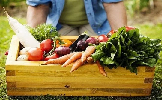 Sức hút từ thực phẩm hữu cơ nhập khẩu