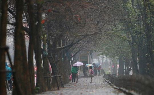 Dự báo thời tiết 18/10: Bắc bộ trời lạnh về đêm và sáng