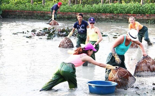 Để du lịch nông nghiệp trở thành lợi thế