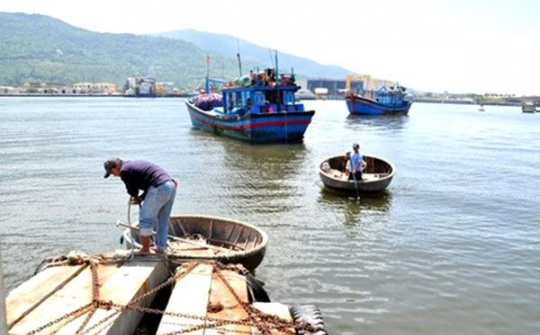 Dừng xây dựng tuyến luồng Thọ Quang (Đà Nẵng)