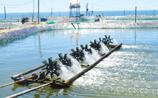 Tăng cường bảo vệ nước ngầm tại Việt Nam