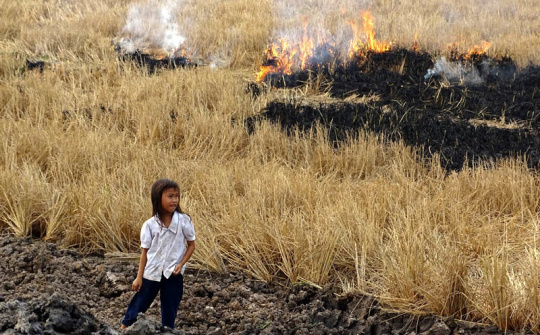 Vấn đề an ninh môi trường ở Việt Nam hiện nay