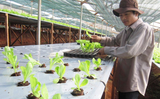 Những chính sách nổi bật có hiệu lực từ cuối tháng 10