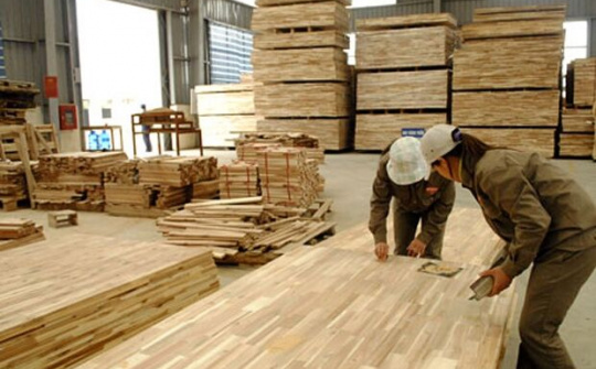 Đổi mới tư duy, nâng tầm giá trị cho ngành gỗ
