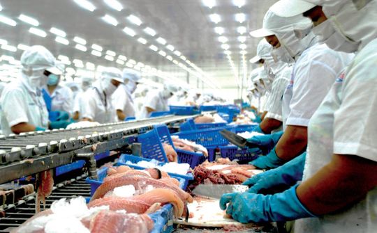 Xuất khẩu cá tra đi các thị trường lớn có nhiều chuyển biến tích cực