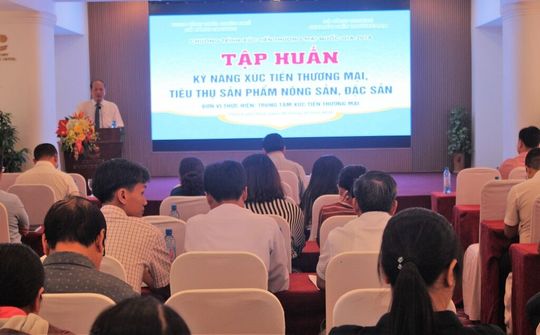 Huế: Tập huấn nâng cao kỹ năng xúc tiến thương mại nông sản, đặc sản