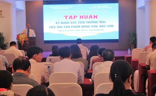 Huế: Tập huấn nâng cao kỹ năng xúc tiến thương mại nông sản, đặc sản