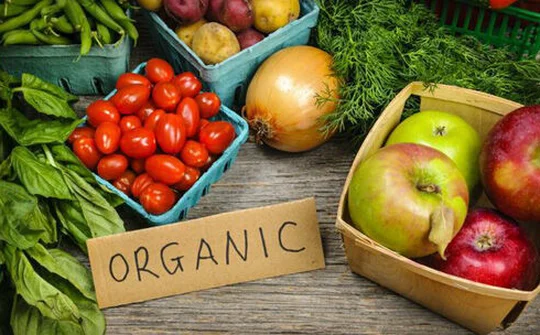 Thị trường quốc tế - mảnh đất màu mỡ cho sản phẩm Organic Việt
