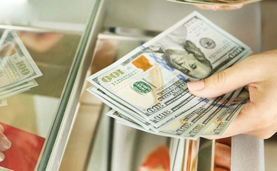 Phó Thủ tướng chỉ đạo xử lý vụ việc phạt 90 triệu đồng vì đổi 100 USD