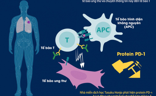 Việt Nam đã ứng dụng liệu pháp đoạt giải Nobel Y học 2018 để điều trị ung thư từ năm 2017