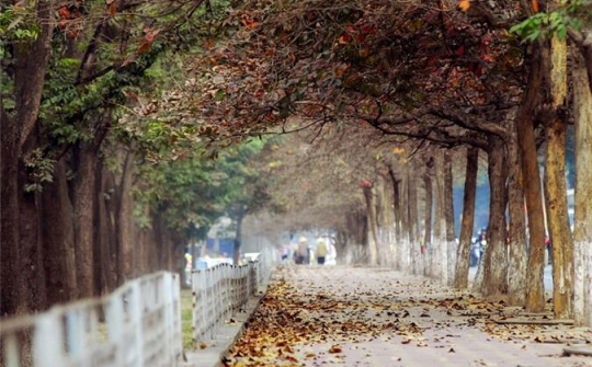 Dự báo thời tiết 30/10: Bắc Bộ có sương mù nhẹ, ngày nắng