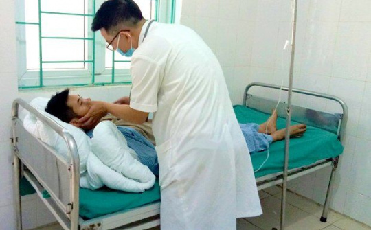 5 người trong gia đình ngộ độc nấm rừng tại Hà Giang