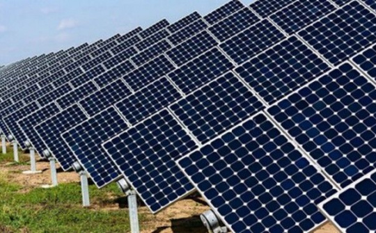 Xây dựng Ninh Thuận trở thành tỉnh sản xuất năng lượng tái tạo lớn của cả nước