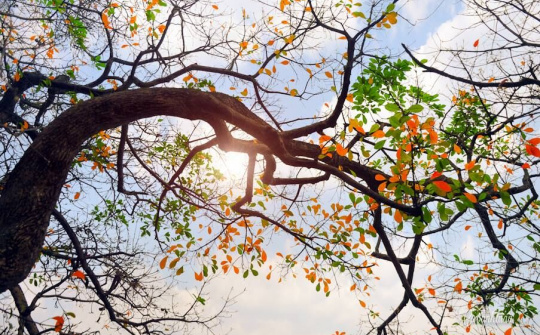 Dự báo thời tiết ngày 4/10: Hà Nội nắng đẹp, Trung Bộ mưa lớn tiếp diễn