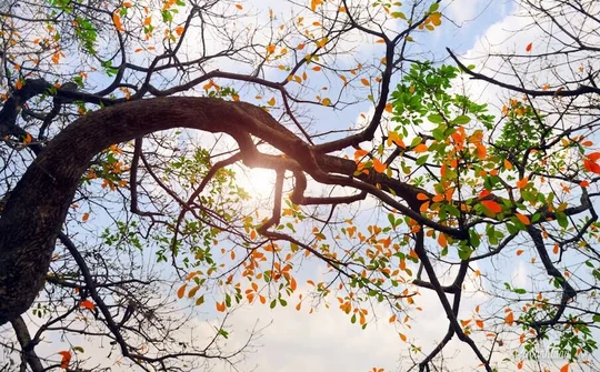 Dự báo thời tiết ngày 4/10: Hà Nội nắng đẹp, Trung Bộ mưa lớn tiếp diễn