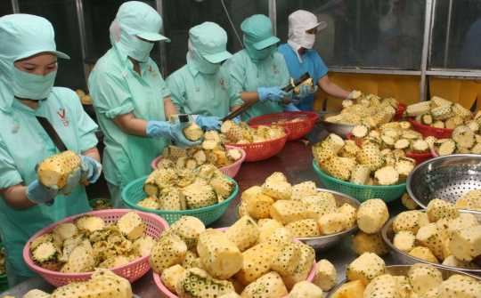 Fruit and vegetable exports expected to hit US$4 billion