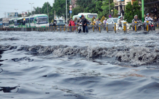 Đảm bảo tiến độ giải quyết ngập do triều khu vực TP HCM 