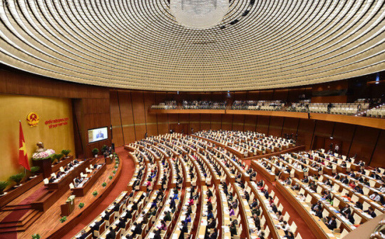 Nghiên cứu, hoàn thiện một số dự án luật