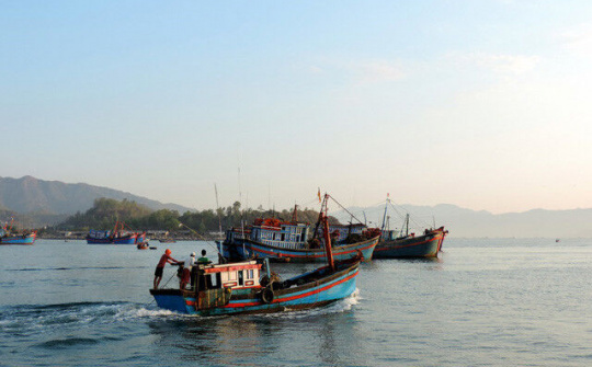 37 tàu cá vi phạm hành lang an toàn ống dẫn khí