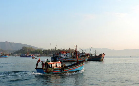 37 tàu cá vi phạm hành lang an toàn ống dẫn khí