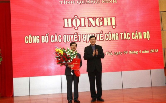 Chủ tịch TP. Cẩm Phả: Phê duyệt dự án sai phạm, vẫn 'thăng chức'?