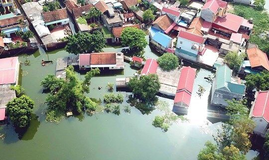 Xây dựng phương án ứng phó lũ vùng Đồng bằng sông Cửu Long