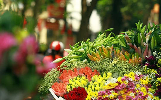 Dự báo thời tiết 6/10: Hà Nội nắng hơn 30 độ, Sài Gòn mưa 
