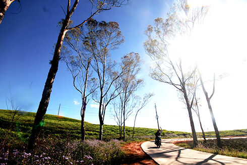 Dự báo thời tiết 7/10: Miền Bắc xuất hiện sương mù, ngày nắng