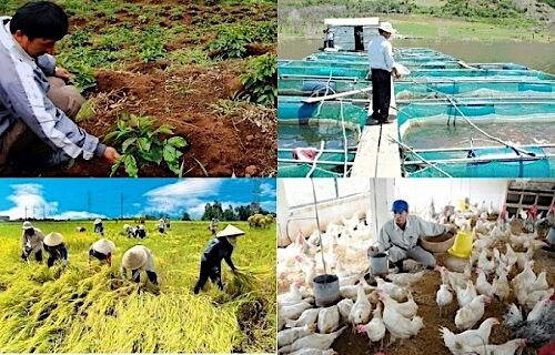 Đề xuất mới về chính sách tín dụng phát triển nông nghiệp, nông thôn