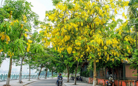 Dự báo thời tiết ngày 9/10: Bắc Bộ ngày nắng, chiều và tối có mưa