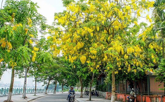 Dự báo thời tiết ngày 9/10: Bắc Bộ ngày nắng, chiều và tối có mưa