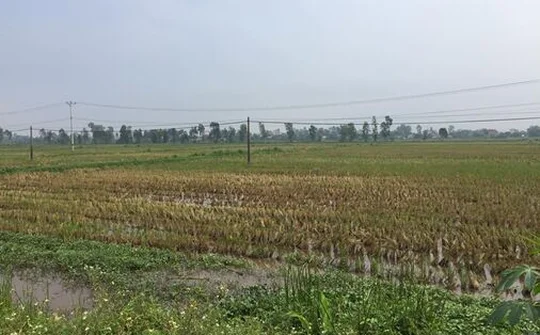 Hưng Yên: Hơn 10 năm lãng phí 'đất vàng'