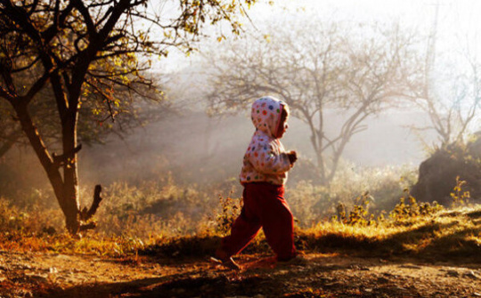 Dự báo thời tiết 1/11: Hà Nội đón rét, Sa Pa đêm chỉ còn 7 độ 