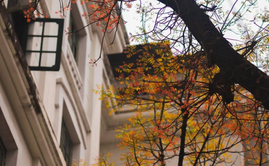 Tháng 11 này, Miền Bắc đón 4-6 đợt không khí lạnh 