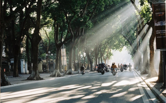 Dự báo thời tiết 10/11: Hà Nội có mưa nhỏ, trời se lạnh