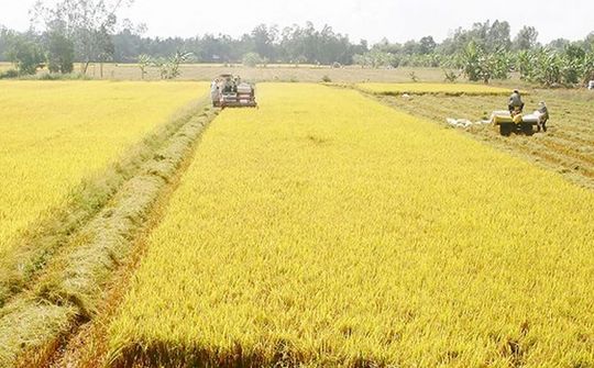 Chuyển mục đích sử dụng đất tại Thanh Hóa và Tiền Giang