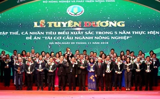 Vinh danh 138 cá nhân, đơn vị xuất sắc trong thực hiện tái cơ cấu nông nghiệp