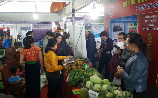 Thúc đẩy phát triển thương mại, du lịch, đầu tư Trung - Việt