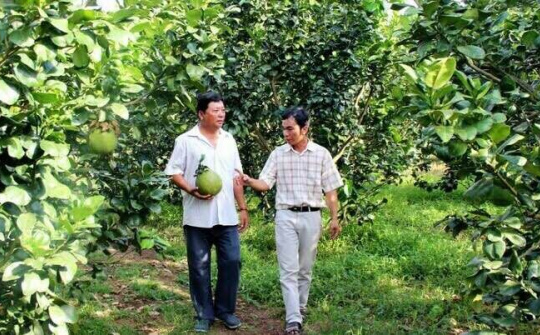 Huyện Hậu Lộc, Thanh Hóa tập trung đẩy mạnh việc tái cơ cấu ngành Nông nghiệp