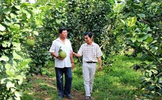 Huyện Hậu Lộc, Thanh Hóa tập trung đẩy mạnh việc tái cơ cấu ngành Nông nghiệp