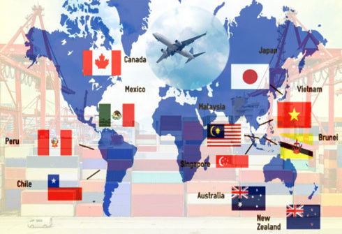 CPTPP – Vietnam’s strong commitment to renovation, international integration