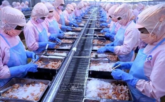 Chuẩn bị kỹ, tận dụng tốt cơ hội từ CPTPP