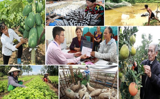 Ngân hàng Chính sách xã hội phát động Chương trình i3