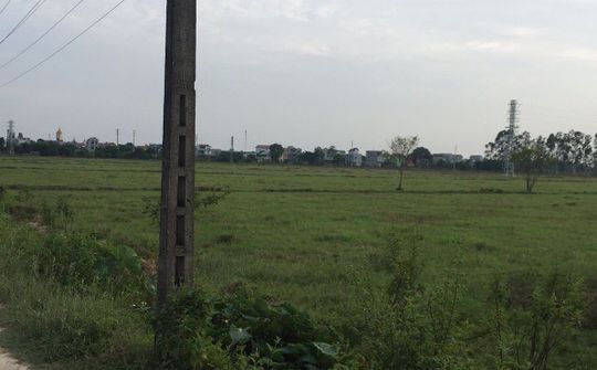 Hưng Yên: Hơn 10 năm lãng phí 'đất vàng' -  Bài 2: Đất bỏ hoang, dân mỏi mòn chờ dự án khởi động!